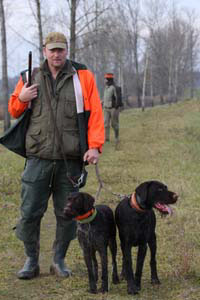 Birko vom Jura-Grund Treibjagd 2